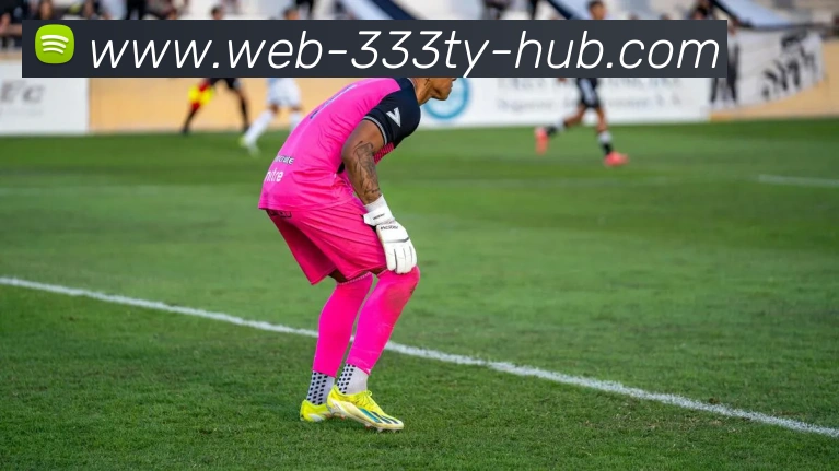 333体育发展历程